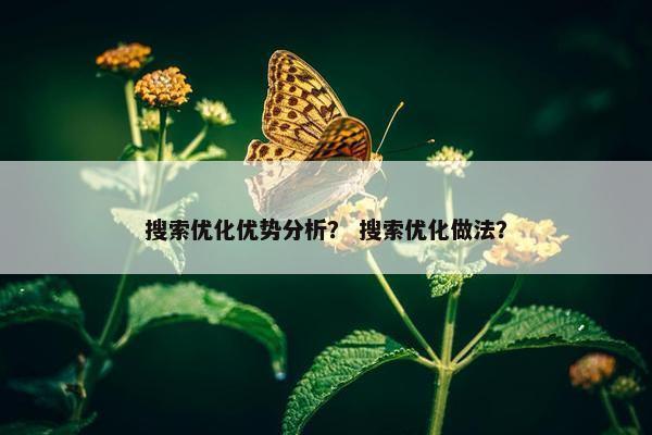 搜索优化优势分析？ 搜索优化做法？