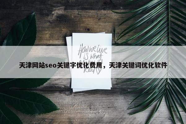 天津网站seo关键字优化费用，天津关键词优化软件