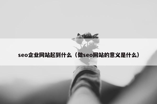 seo企业网站起到什么（做seo网站的意义是什么）