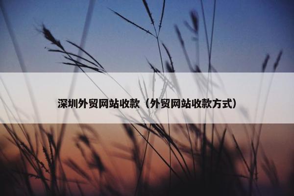 深圳外贸网站收款（外贸网站收款方式）