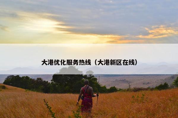 大港优化服务热线（大港新区在线）