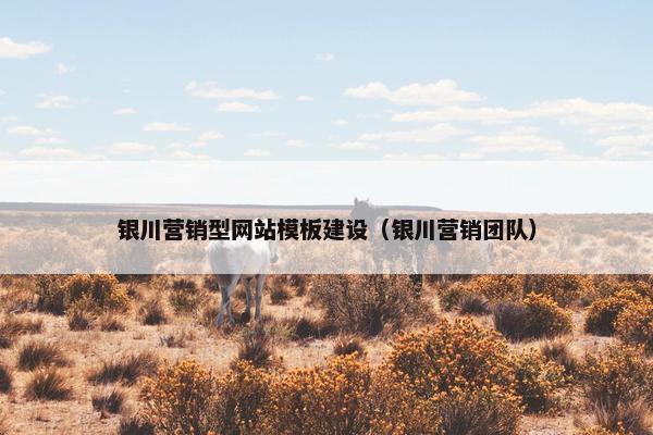 银川营销型网站模板建设（银川营销团队）