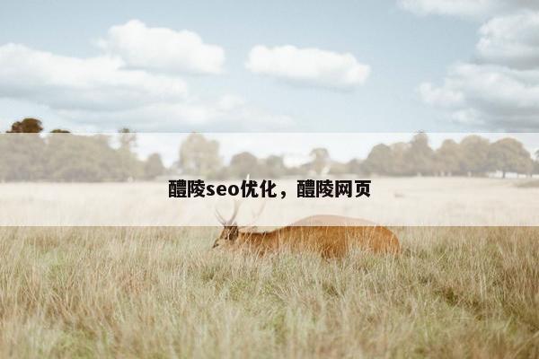 醴陵seo优化，醴陵网页