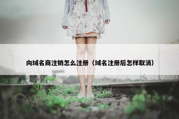 向域名商注销怎么注册（域名注册后怎样取消）