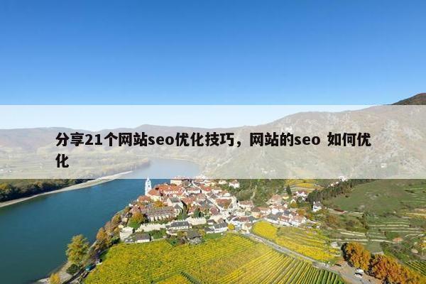 分享21个网站seo优化技巧，网站的seo 如何优化