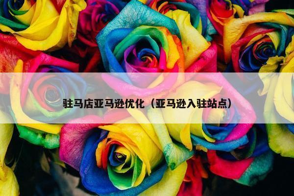 驻马店亚马逊优化（亚马逊入驻站点）