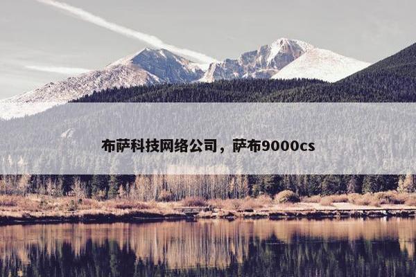 布萨科技网络公司，萨布9000cs