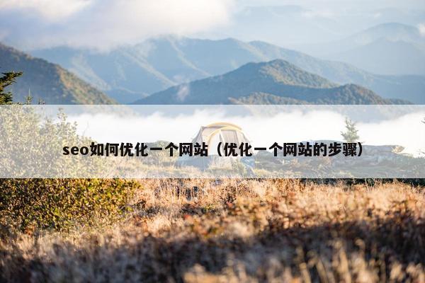 seo如何优化一个网站（优化一个网站的步骤）