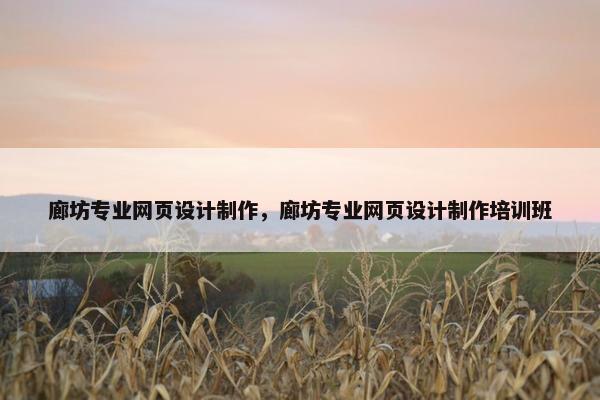 廊坊专业网页设计制作，廊坊专业网页设计制作培训班