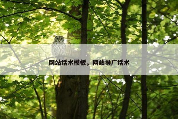 网站话术模板，网站推广话术