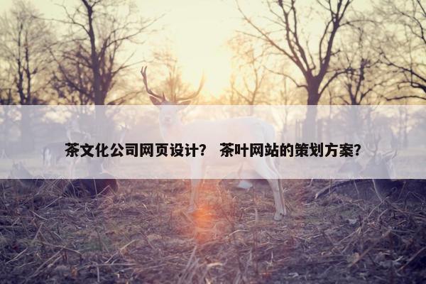 茶文化公司网页设计？ 茶叶网站的策划方案？