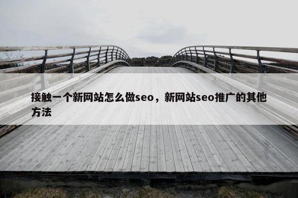 接触一个新网站怎么做seo，新网站seo推广的其他方法