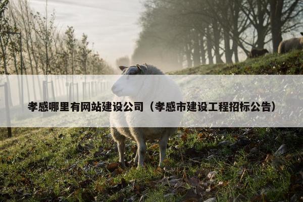 孝感哪里有网站建设公司（孝感市建设工程招标公告）