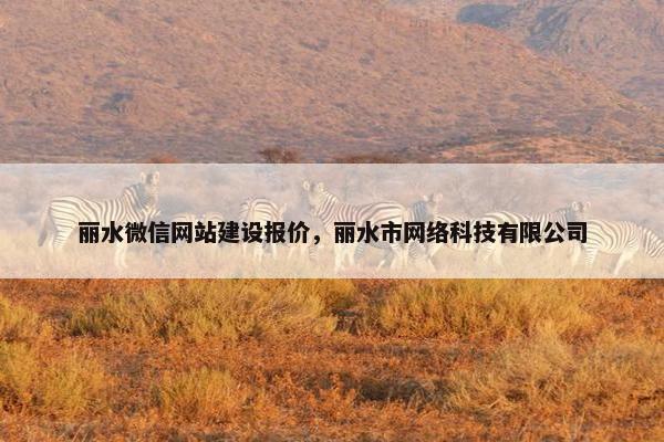 丽水微信网站建设报价，丽水市网络科技有限公司