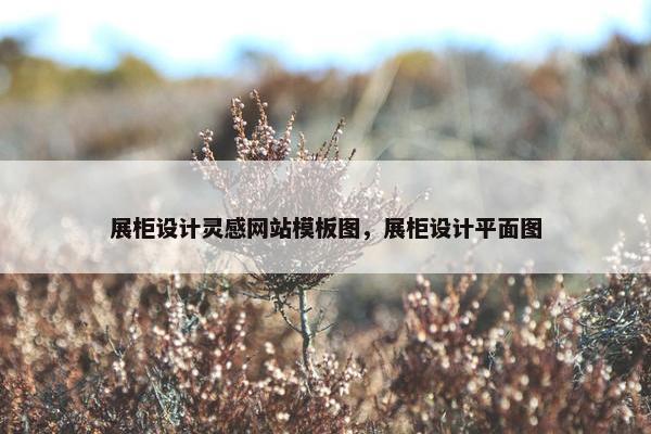 展柜设计灵感网站模板图，展柜设计平面图