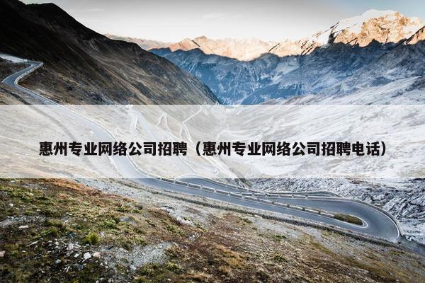 惠州专业网络公司招聘（惠州专业网络公司招聘电话）