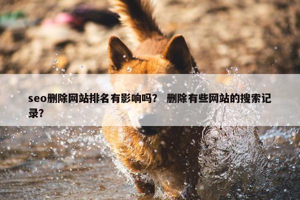 seo删除网站排名有影响吗？ 删除有些网站的搜索记录？