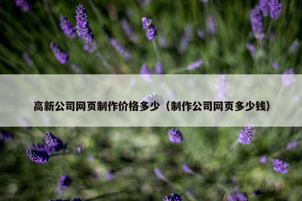 高新公司网页制作价格多少（制作公司网页多少钱）