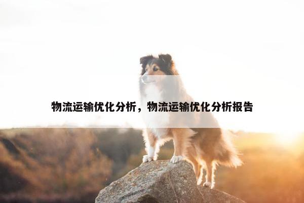 物流运输优化分析，物流运输优化分析报告