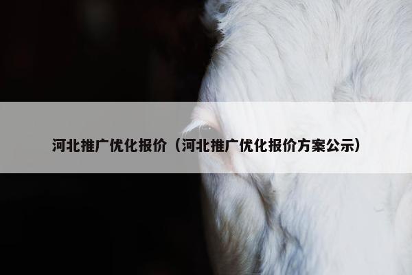 河北推广优化报价（河北推广优化报价方案公示）