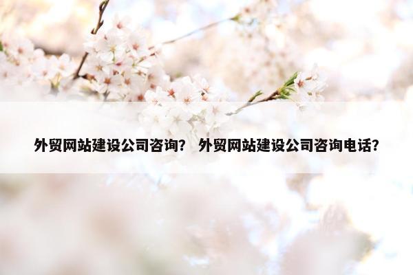 外贸网站建设公司咨询？ 外贸网站建设公司咨询电话？