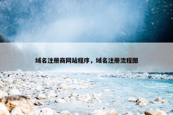 域名注册商网站程序，域名注册流程图