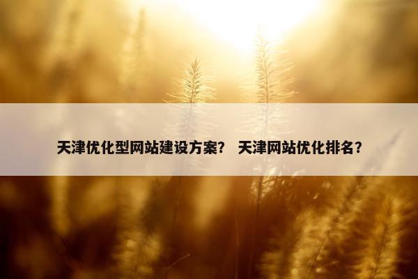 天津优化型网站建设方案？ 天津网站优化排名？