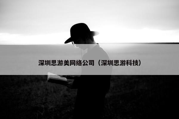 深圳思游美网络公司（深圳思游科技）