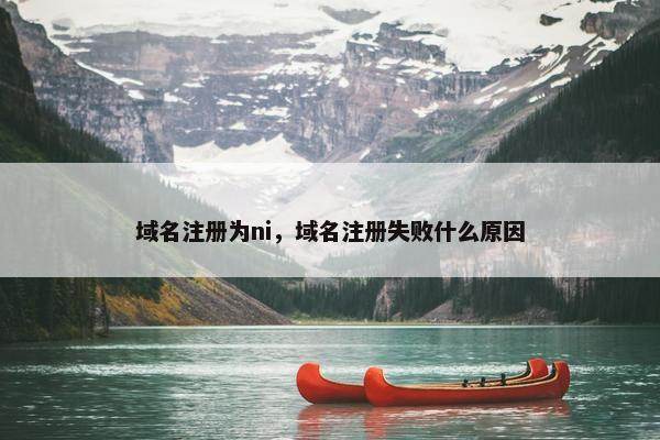 域名注册为ni，域名注册失败什么原因