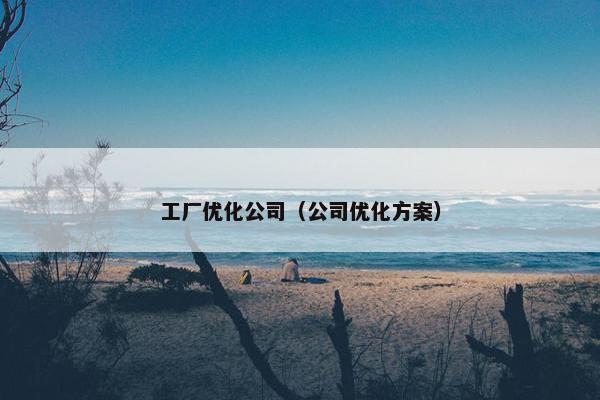 工厂优化公司（公司优化方案）