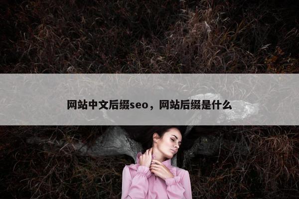 网站中文后缀seo，网站后缀是什么