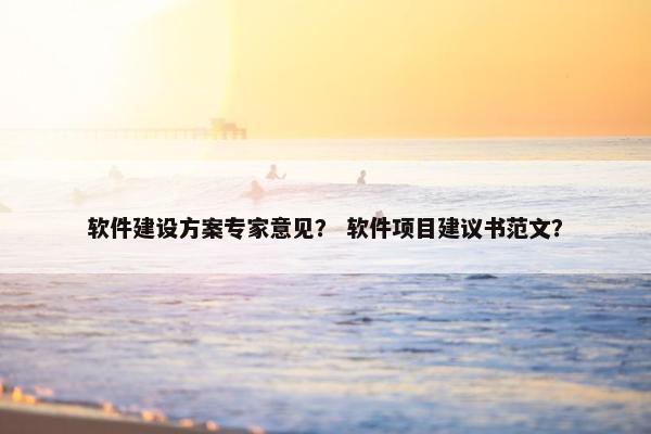 软件建设方案专家意见？ 软件项目建议书范文？