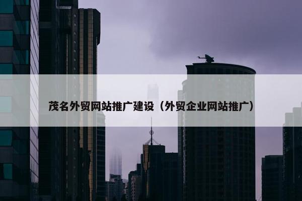 茂名外贸网站推广建设（外贸企业网站推广）