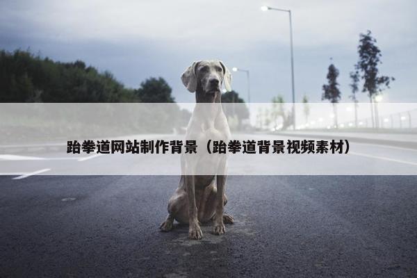 跆拳道网站制作背景（跆拳道背景视频素材）