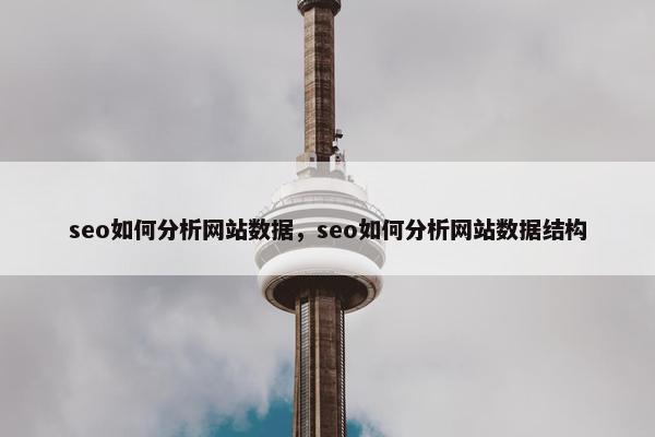 seo如何分析网站数据，seo如何分析网站数据结构