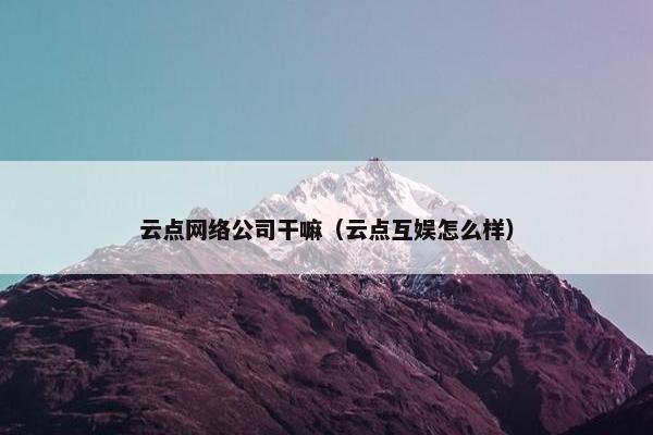 云点网络公司干嘛（云点互娱怎么样）