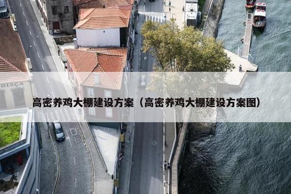 高密养鸡大棚建设方案（高密养鸡大棚建设方案图）