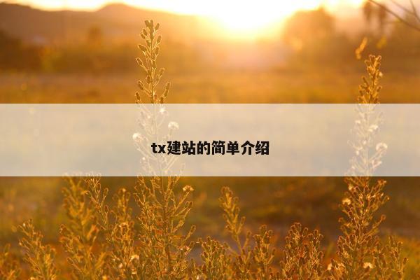 tx建站的简单介绍