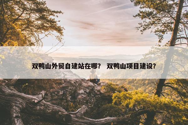 双鸭山外贸自建站在哪？ 双鸭山项目建设？