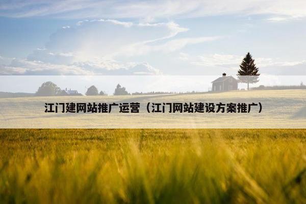 江门建网站推广运营（江门网站建设方案推广）
