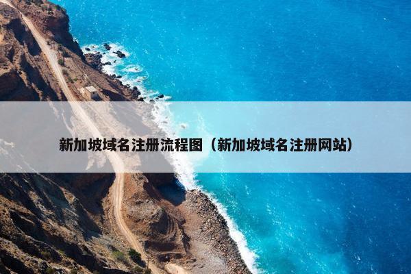 新加坡域名注册流程图（新加坡域名注册网站）