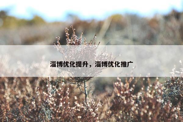 淄博优化提升，淄博优化推广