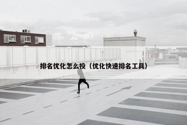 排名优化怎么投（优化快速排名工具）