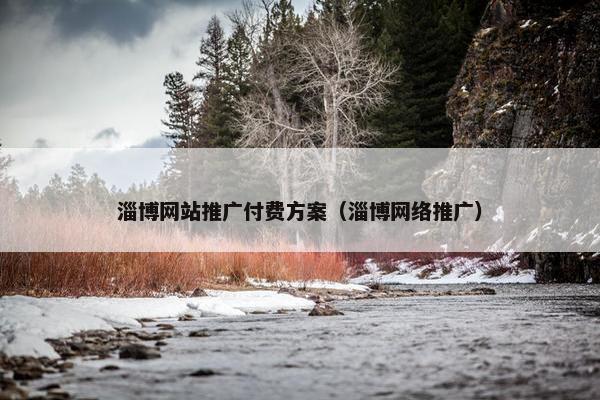 淄博网站推广付费方案（淄博网络推广）