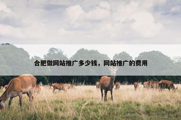 合肥做网站推广多少钱，网站推广的费用