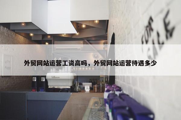 外贸网站运营工资高吗，外贸网站运营待遇多少