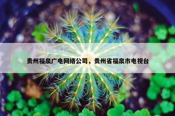 贵州福泉广电网络公司，贵州省福泉市电视台