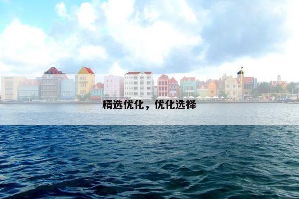 精选优化，优化选择
