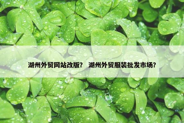 湖州外贸网站改版？ 湖州外贸服装批发市场？