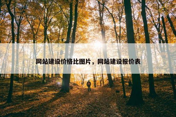 网站建设价格比图片，网站建设报价表